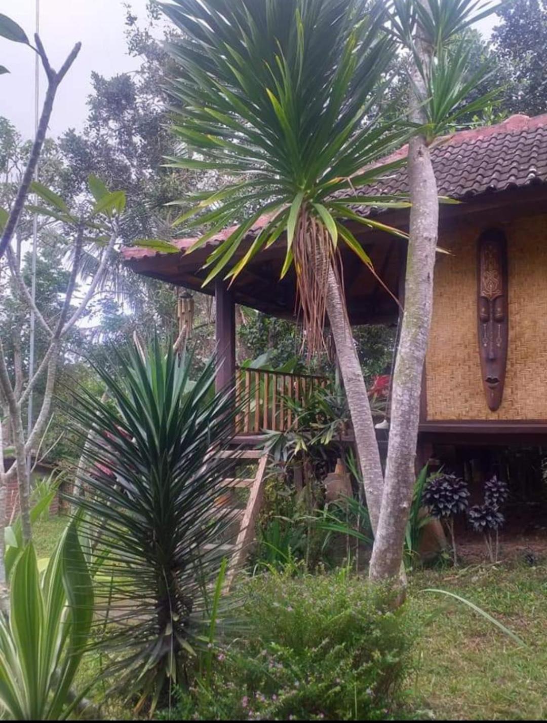 Sky Garden Lombok Apartment Tetebatu Room photo